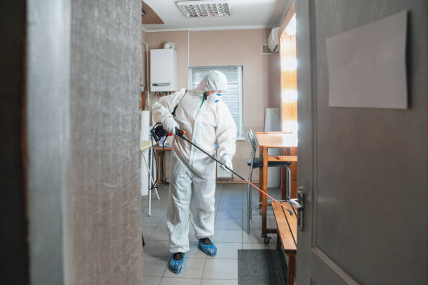 Reliable Bluefield, WV Mold Inspection, Removal & Remediation Solutions